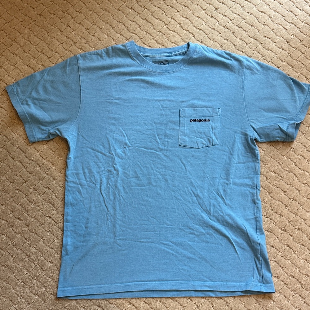 Patagonia Men's Light Blue Short Sleeve Tee